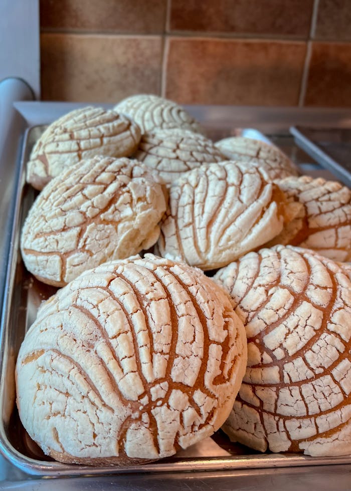 A tray of freshly baked conchas showcasing the classic Mexican sweet bread's pattern and texture.